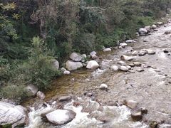 -青峰峡国家森林公园