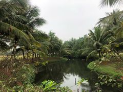 -白沙门生态公园