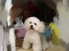 -萌兽医馆·宠物医院·猫骨科(创景店)