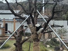 -无锡动物园·太湖欢乐园