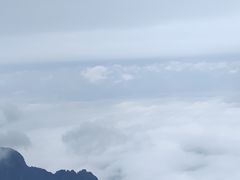 -嘉州九妹凤爪(乐山总店)
