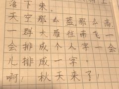 -赵汝飞练字硬笔书法(博泰国际校区)