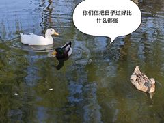 -春风习习