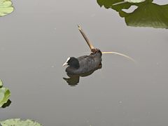 -前关湿地公园