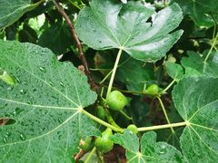 -1973继光香香鸡(常州江南环球港店)