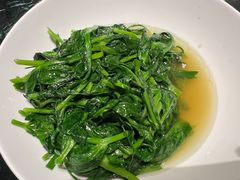 豌豆尖-甄御•海鲜新青岛菜(麦岛店)