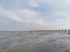 -南汇新城海滩