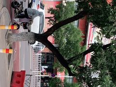 -肯德基(顺义光明大街店)