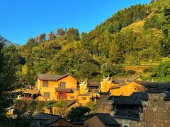 -杨家堂村
