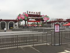 -曹州牡丹园