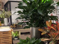 -港丽餐厅(杭大店)