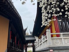 -灵谷景区