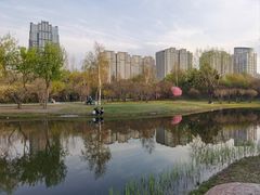 -群力丁香公园