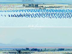-青澳湾北回归线广场