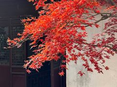 -艺圃