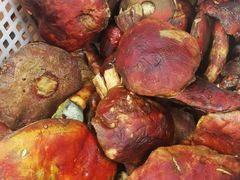 -草墩罗非鱼庄•野生菌•腊排骨(七星街上段店)