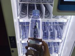 -飞翔公园(地铁站)