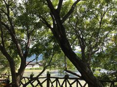 -大理洱源西湖景区