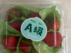 -百果园PAGODA(中铭豪园店)