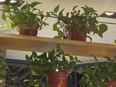 -比格比萨自助(国展店)