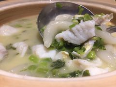 -沪碟·精菜坊(闵行店)