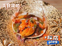 -炎橘·板前料理 Omakase