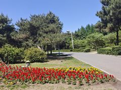 -长春公园(普阳街道)