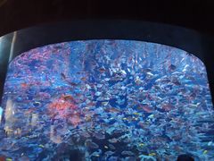 -成都浩海立方海洋公园