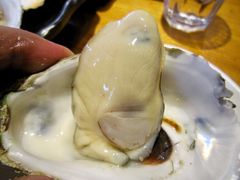 海味原只生蚝-烧蠔帮·湛江生蚝(工农店)