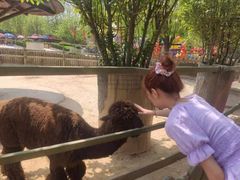 -辛玛王国游乐园