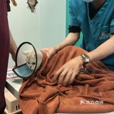 这么良心的宠物医院 少见
