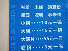 -邓氏大薄片