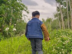 -白鹭湾湿地公园