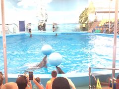 -尼莫海豚馆