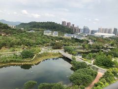 -广州汇华希尔顿逸林酒店