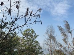 -火炉山森林公园