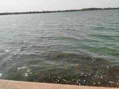 -丁香湖公园