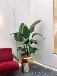 -JUNO hair salon