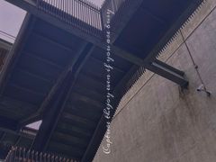 -大酉·M Coffee(北京美术馆店)
