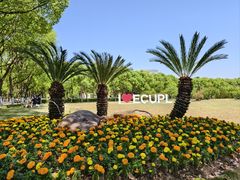 -华东政法大学(松江校区)