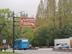 -东平国家森林公园