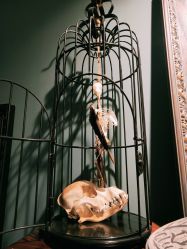 -729CLUB美式风格纹身店