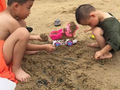 -碧海金沙