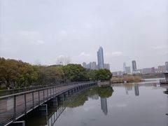 -月湖风景区