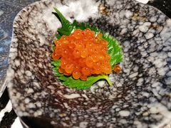 鲑鱼子-稻早料理美术馆(城阳店)