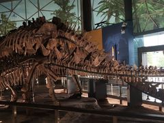 -湖南省地质博物馆