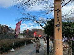 -名古屋城