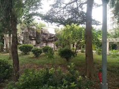 -金鸡岭桥头公园