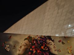 -梦之蓝青奥体育公园体育馆