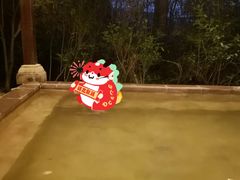 -天目湖涵田半山温泉水乐园